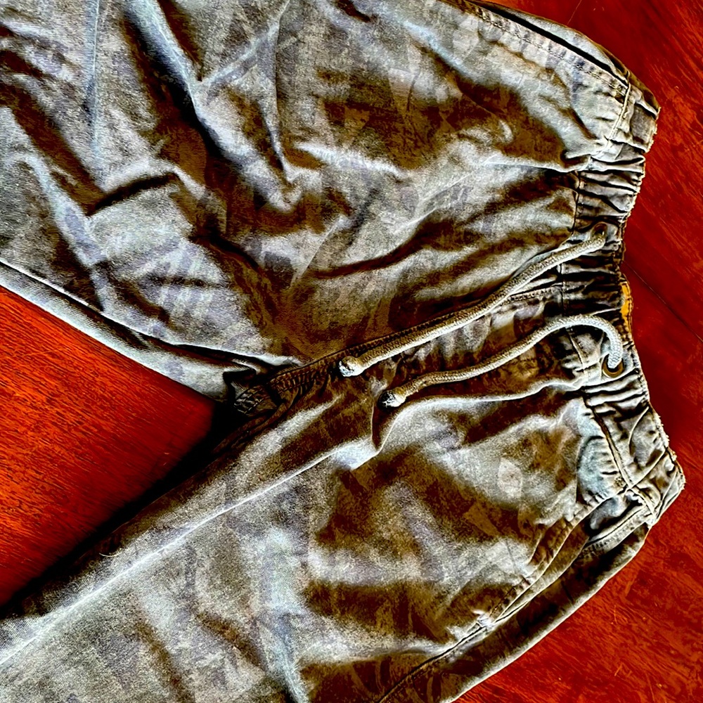 Hollister Joggers